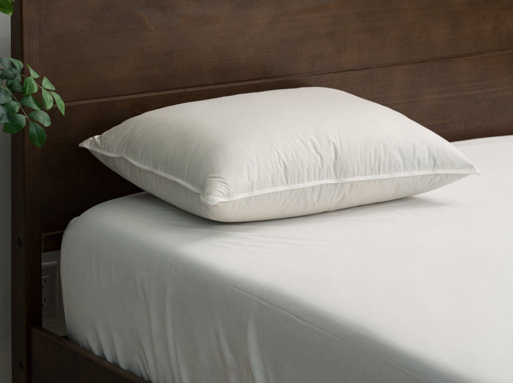 Feather & Down Comfort Pillow