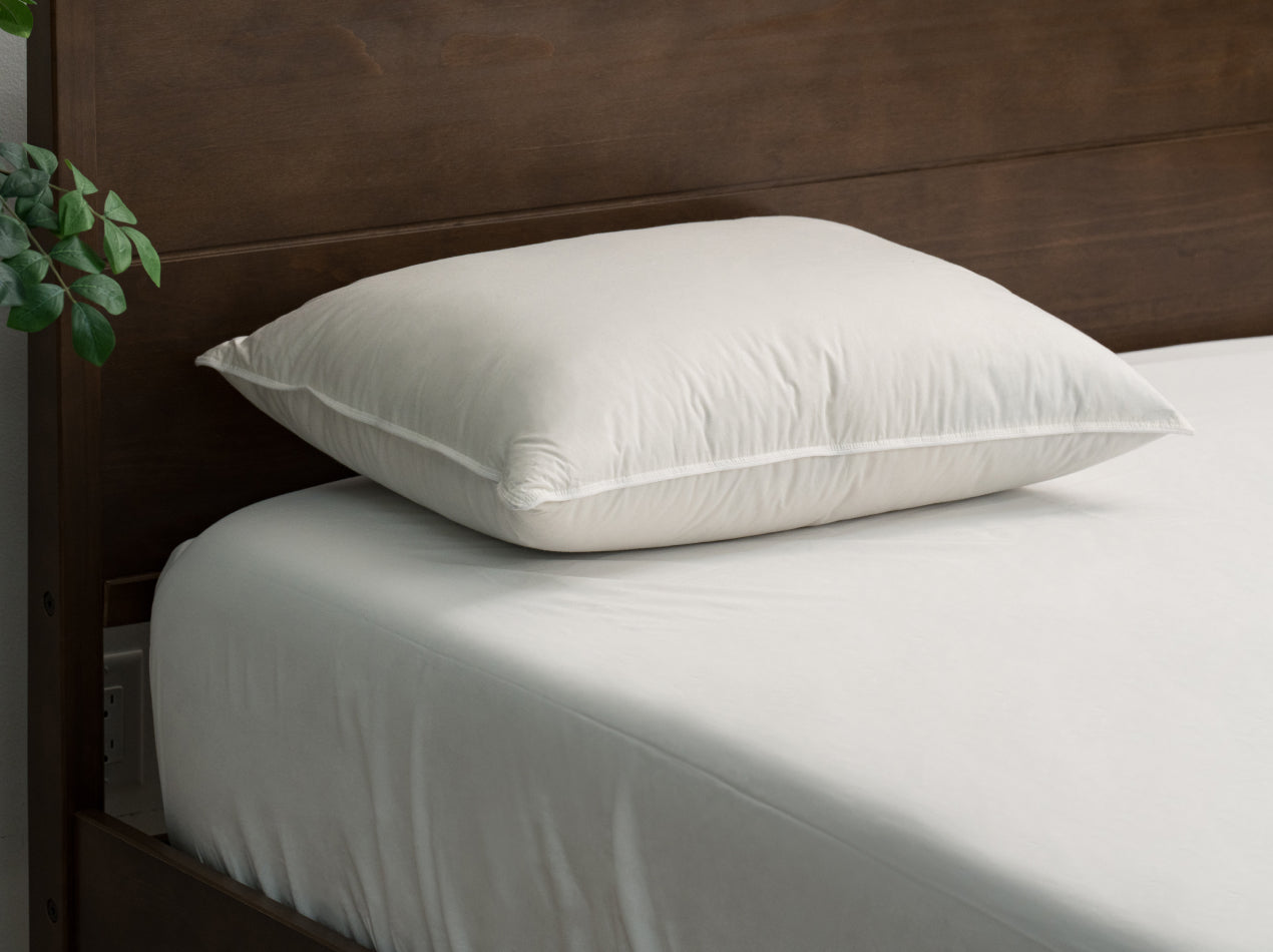 Feather & Down Comfort Pillow