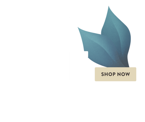 Promo Image Overlay Image Second
