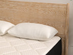 Plank premium shredded foam pillow on plank firm luxe tightly cropped