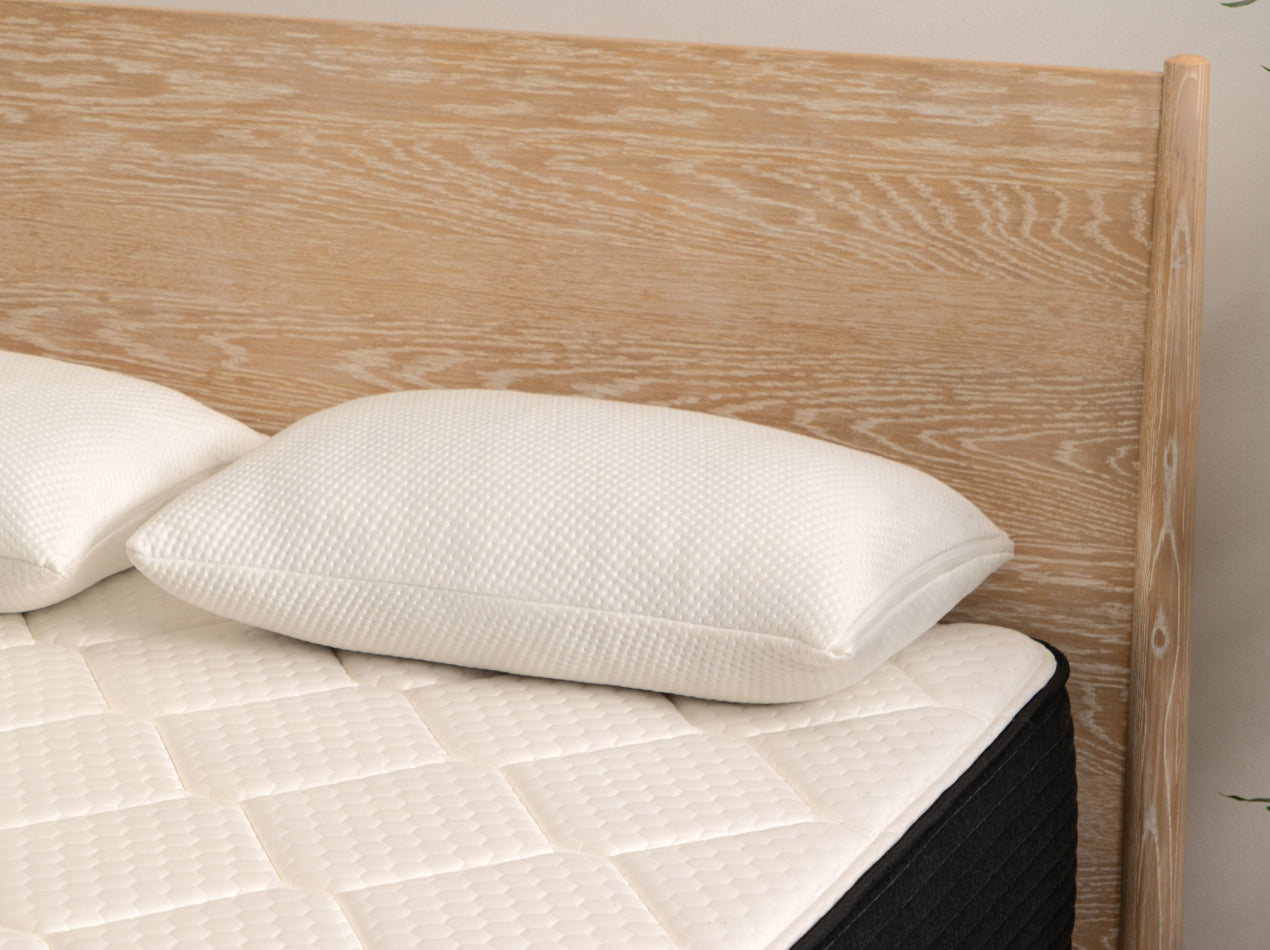 Plank premium shredded foam pillow on plank firm luxe tightly cropped